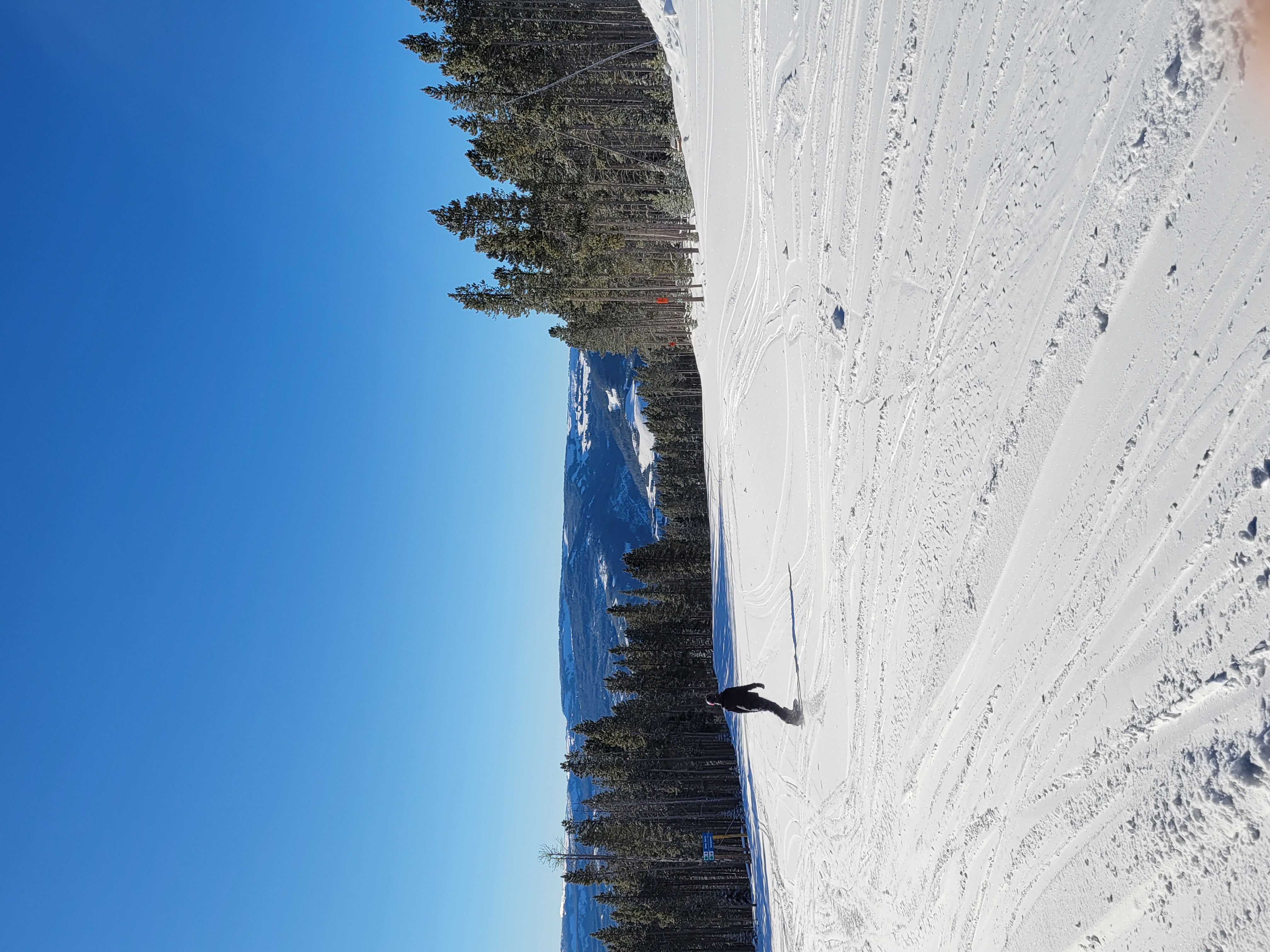 Big Sky
